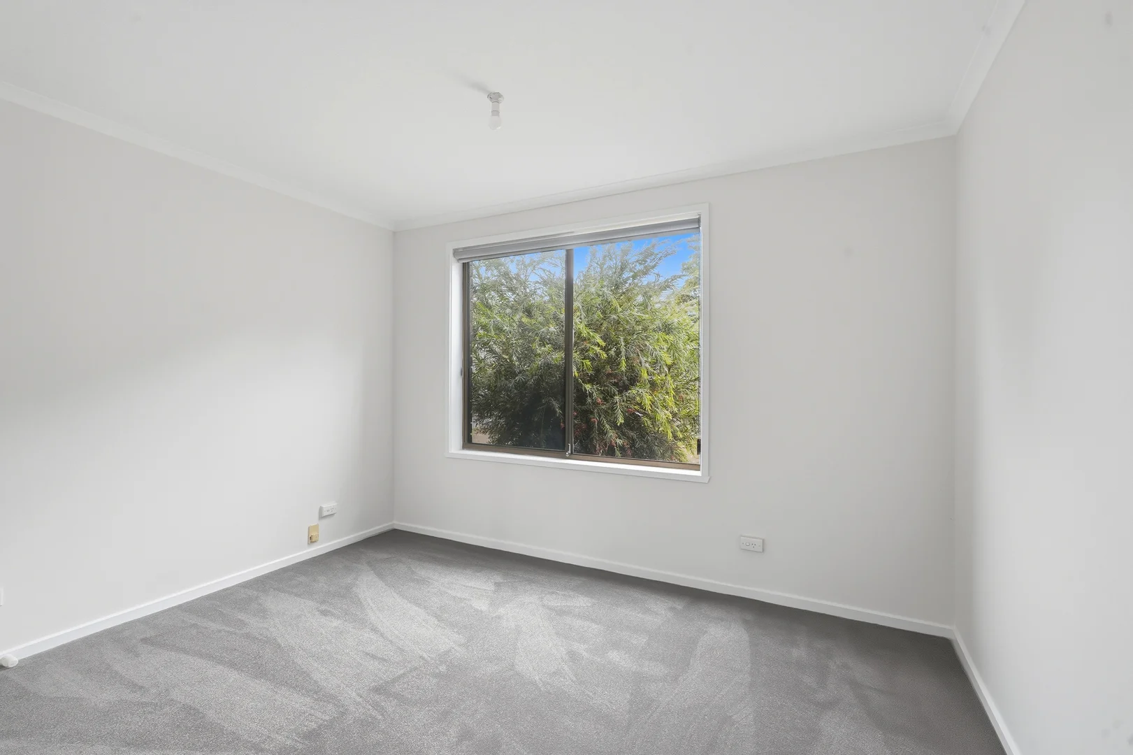 Additional image 11 of 3/31 Elwick Road, Glenorchy TAS 7010