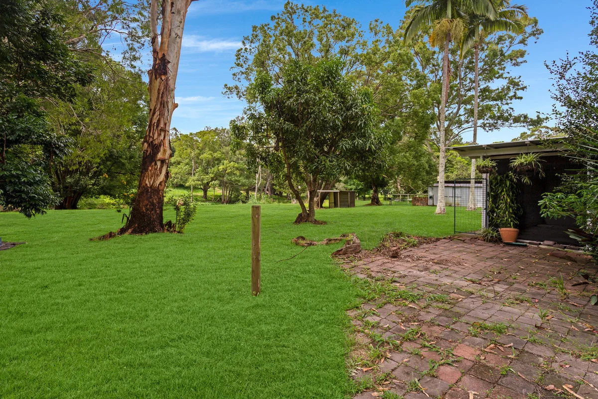 Additional image 4 of 58 Coorabin Court, Tallebudgera QLD 4228
