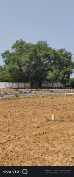 Guduvancheri, Chennai photo 2