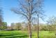 Additional image 8 of Alexandra Road, Chichester