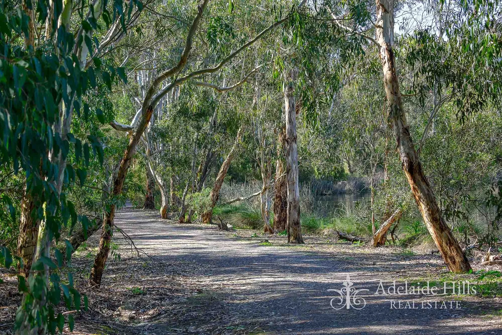 Additional image 21 of 19 Tate Avenue, Mount Barker SA 5251
