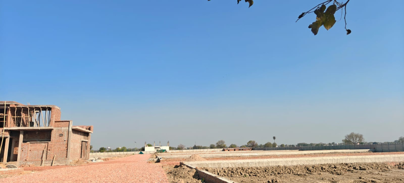 Additional image 3 of Rohta, Agra