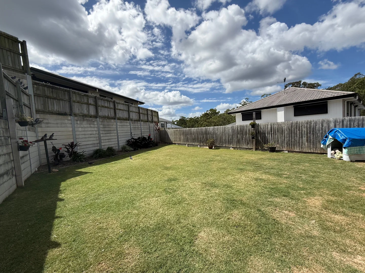 Additional image 13 of 10 Silvertop Crescent, Spring Mountain QLD 4300