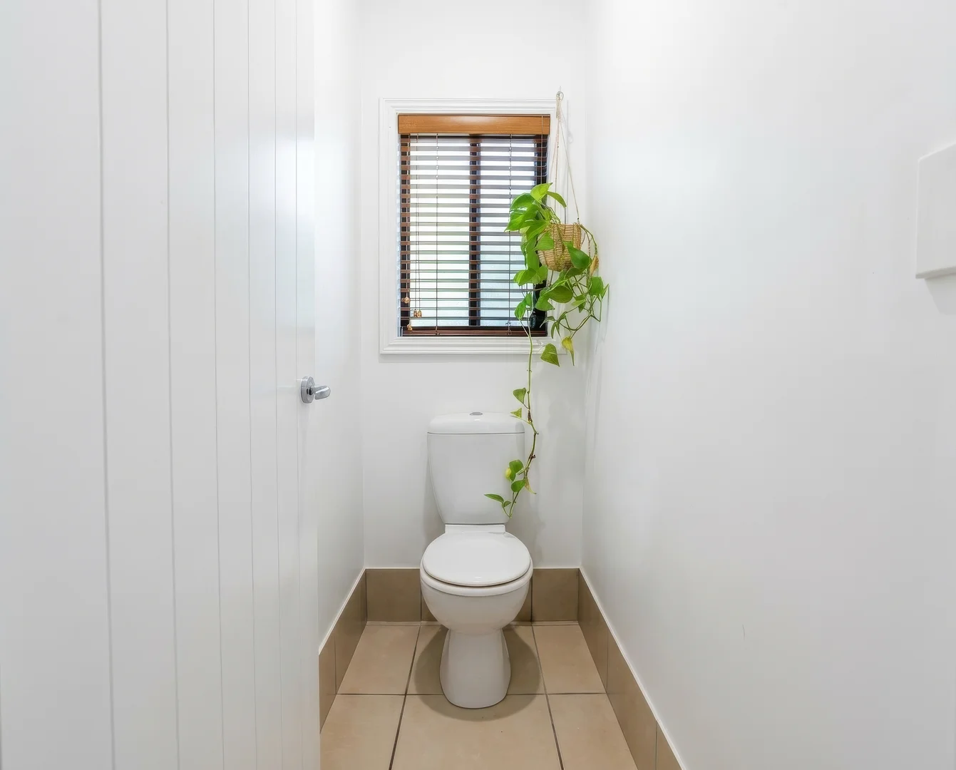 Additional image 14 of 11 Red Jacket Court, Palmwoods QLD 4555