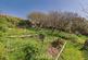 Additional image 46 of St. Davids, Haverfordwest, SA62