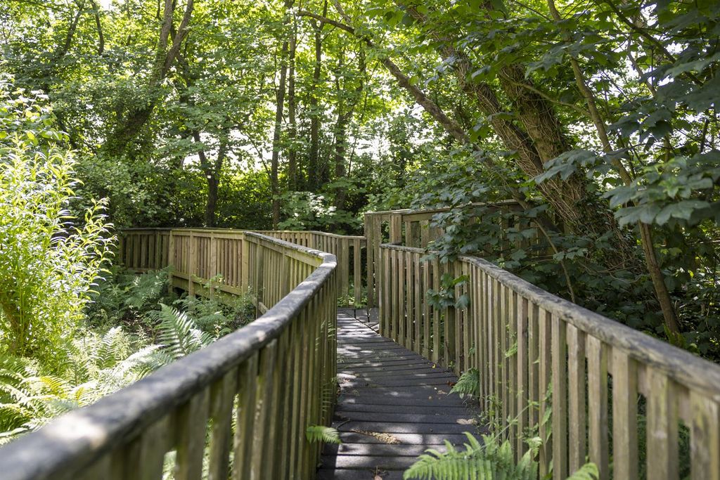 Additional image 79 of 23 bed farm for saleTanygroes, Nr Aberporth, Cardigan SA43