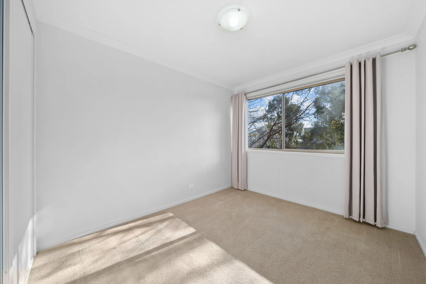 Additional image 9 of 118 Oodgeroo Avenue, Franklin ACT 2913