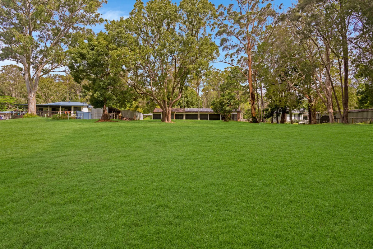 Additional image 8 of 58 Coorabin Court, Tallebudgera QLD 4228