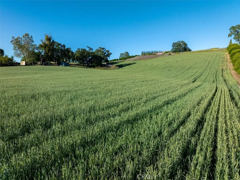 Additional image 143 of 5250 Vineyard Dr, Paso Robles, CA 93446