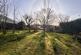Additional image 31 of Highland Road, Wimborne, BH21