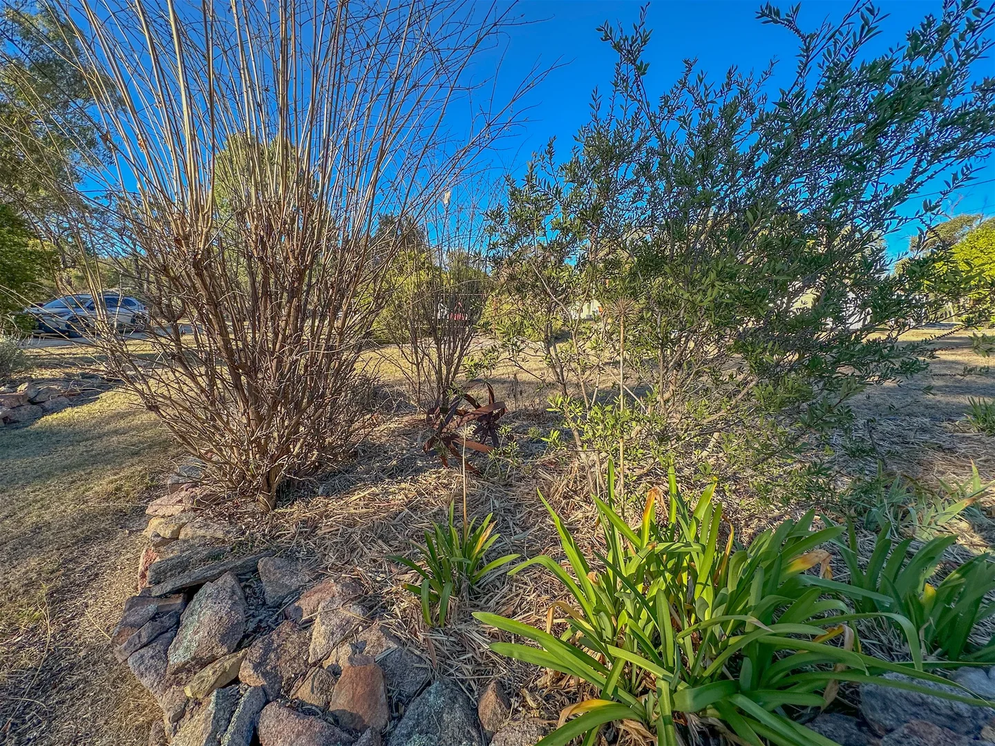Additional image 24 of 145 Watters Road, Stanthorpe QLD 4380