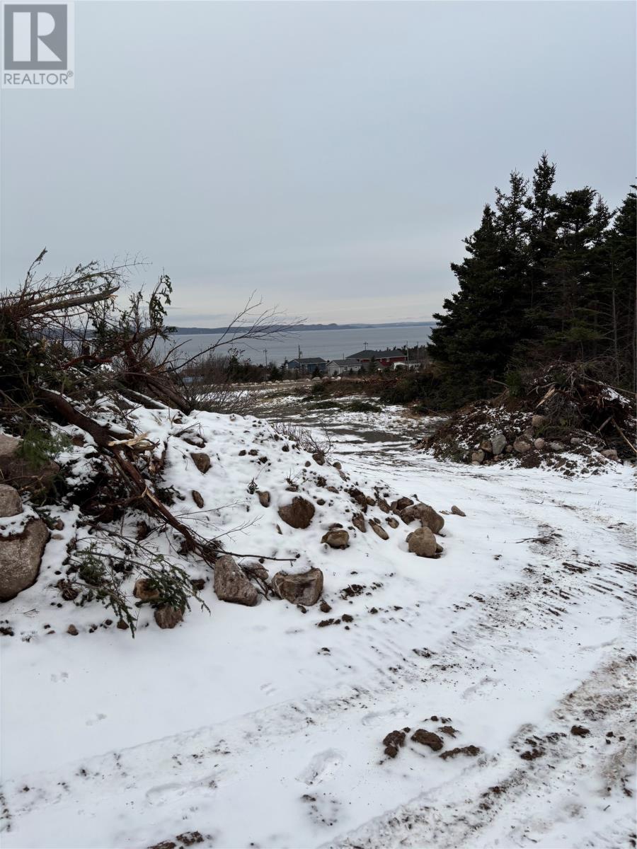 Lot 3 Silas Morgan Estates