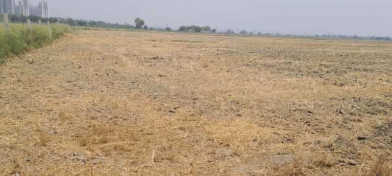 Manesar, Gurgaon