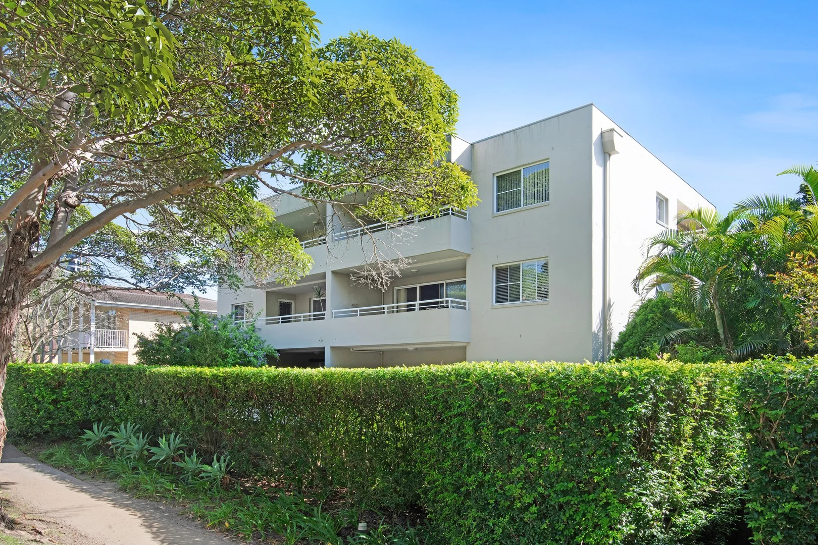 3/58-60 Oaks Avenue, Dee Why NSW 2099