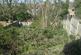 Additional image 5 of Burton Road, Dudley