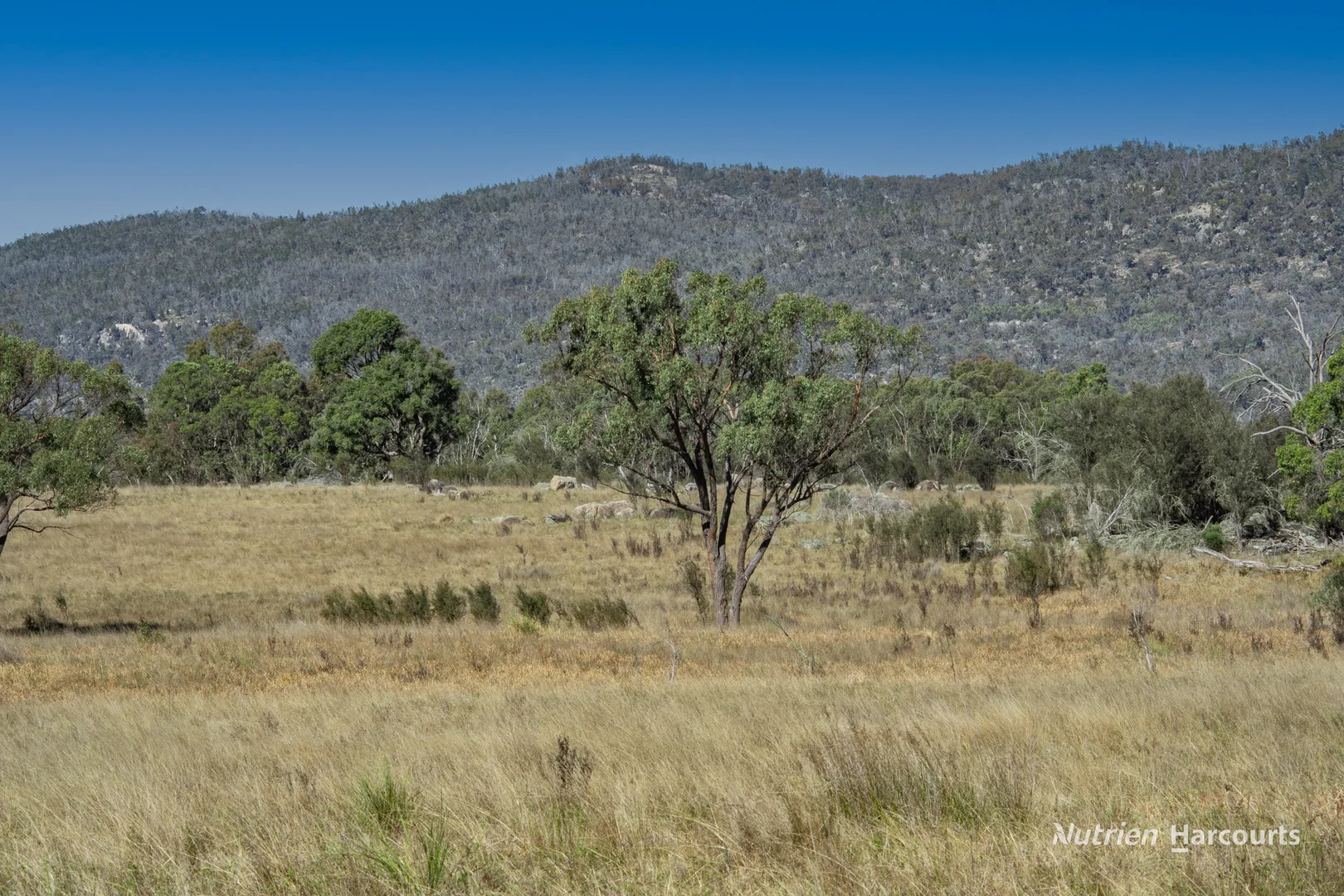 Additional image 4 of Rocky Glen Road, Kingstown NSW 2358