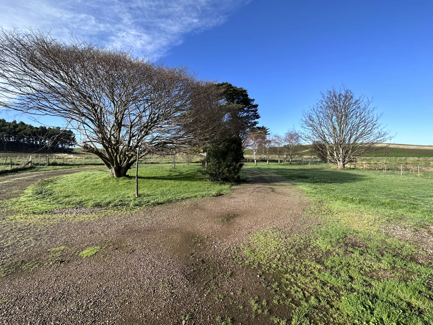 Additional image 6 of 439 Oppenheims Road, Moriarty TAS 7307