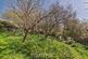 Additional image 48 of St. Davids, Haverfordwest, SA62