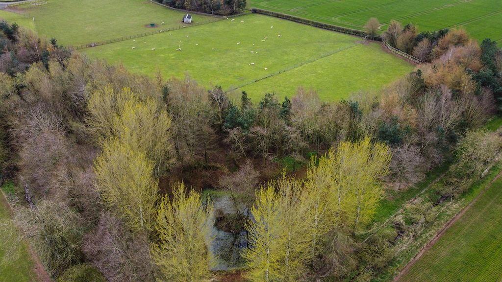 Additional image 67 of 6 bed country house for saleGoshielaw, Belmont, Kelso TD5