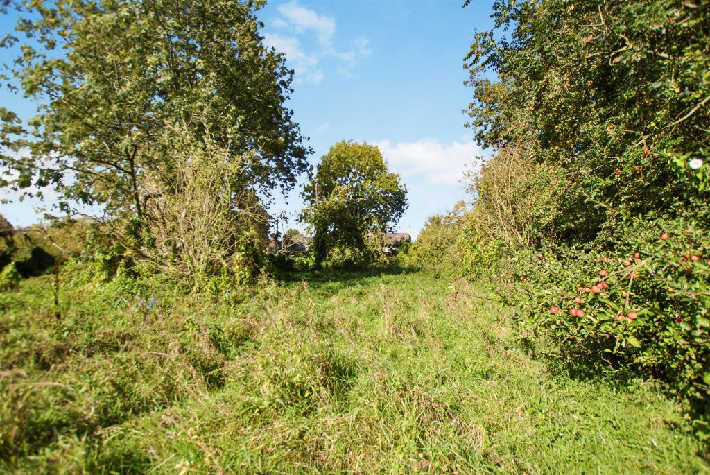 Additional image 6 of Land for saleBerrick Salome, Roke, Wallingford OX10