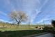 Additional image 5 of Ystrad Meurig