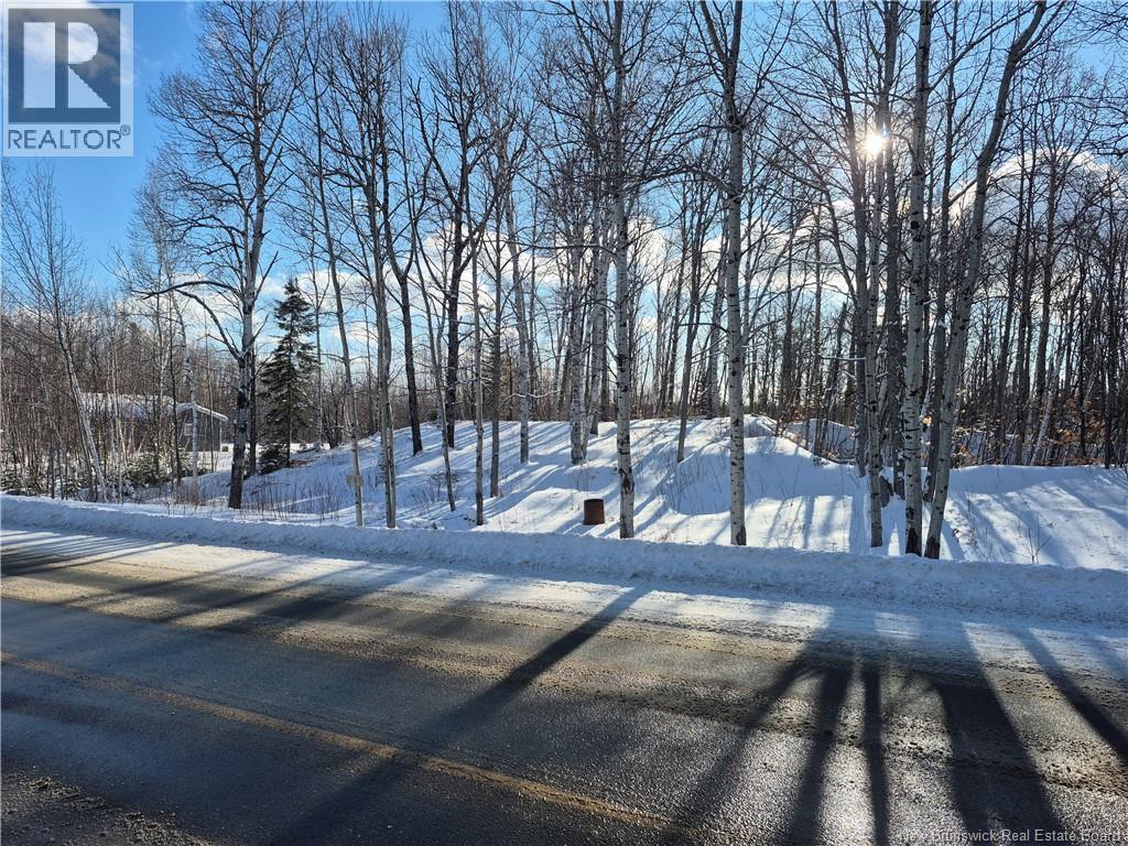 2.6 Acres Nicholas Denys