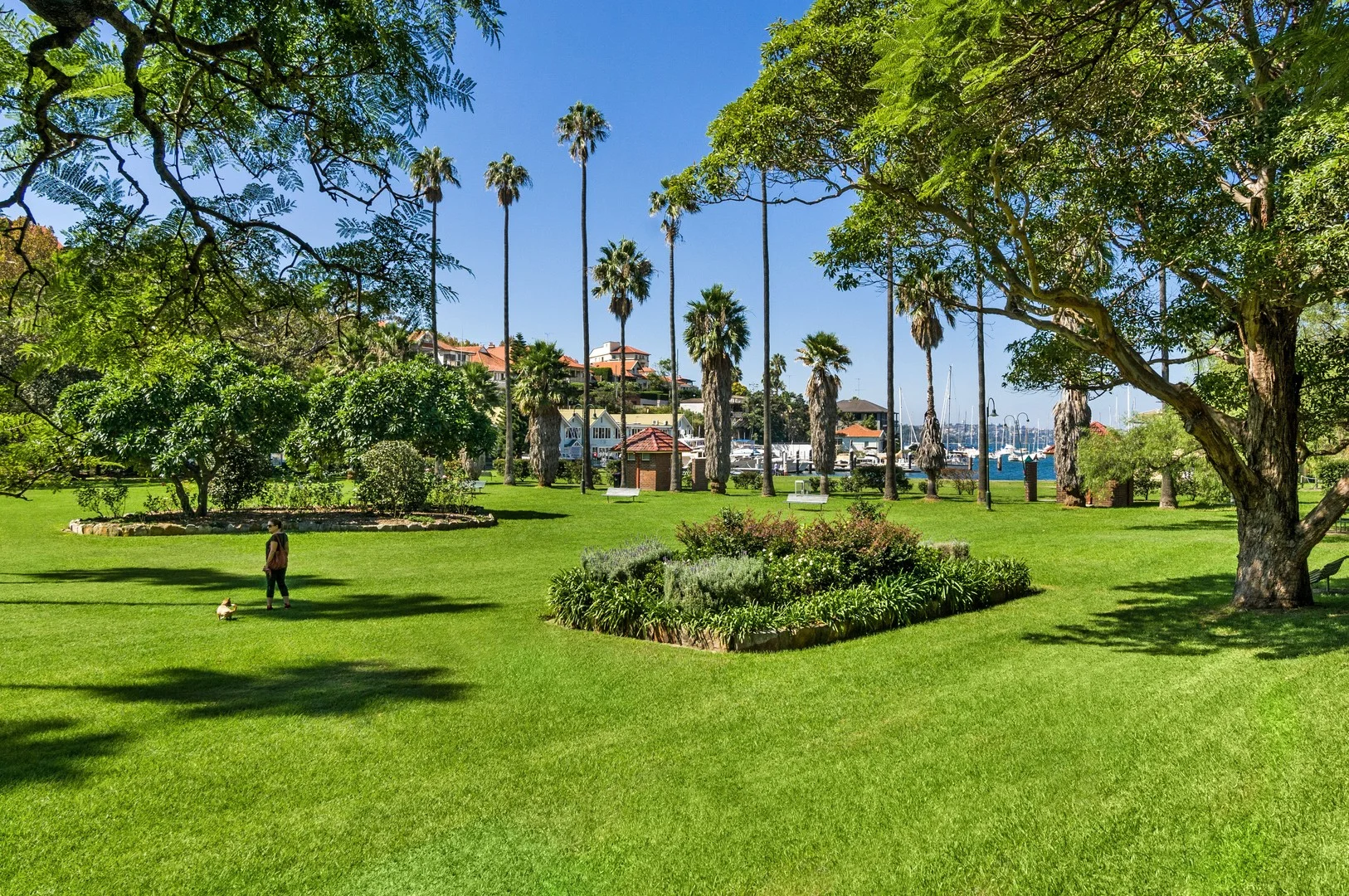Additional image 2 of 8/12 McDougall Street, Kirribilli NSW 2061