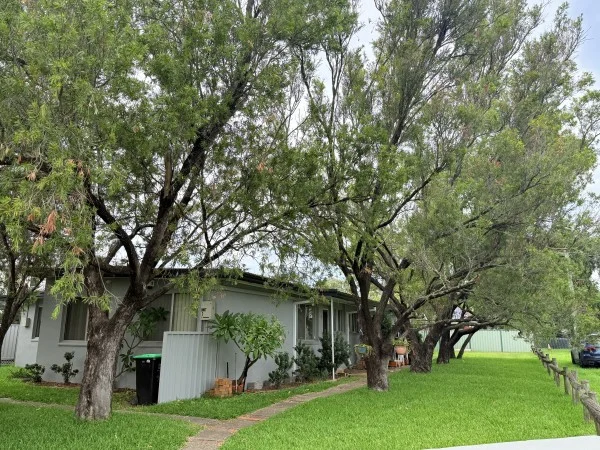 1/2 Elaine Court, Werrington NSW 2747
