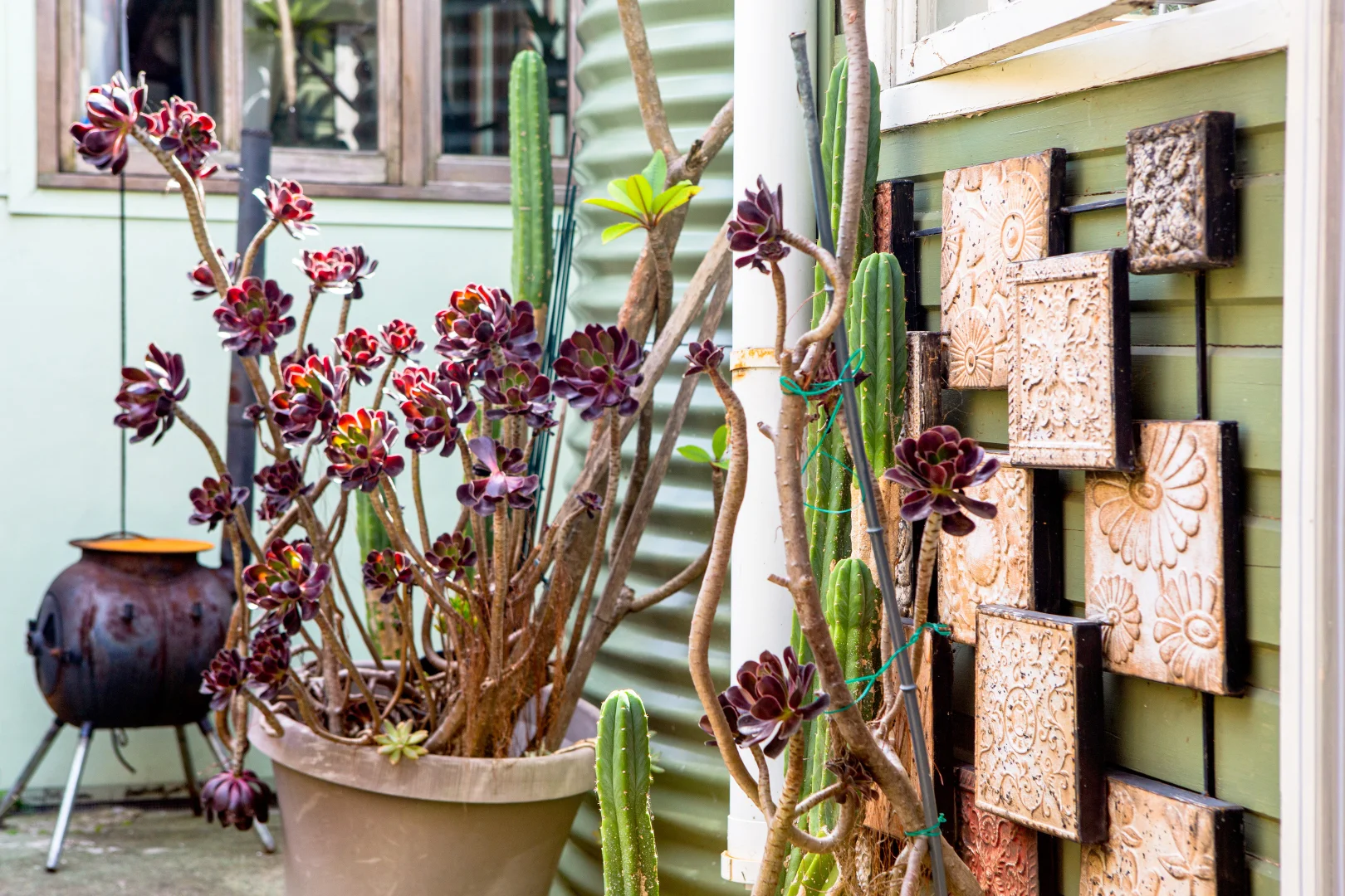 Additional image 12 of 8 Yule Street, Dulwich Hill NSW 2203