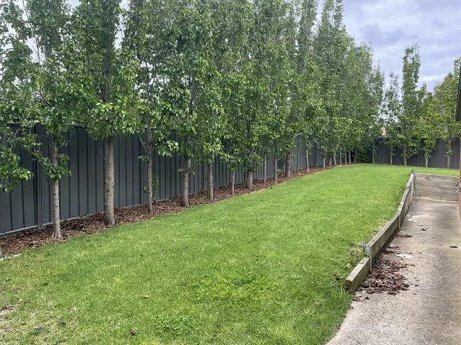 Additional image 12 of 13 Jefferson Ave, Cranbourne North VIC 3977