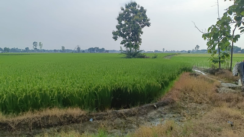 Additional image 2 of Aerocity, Mohali