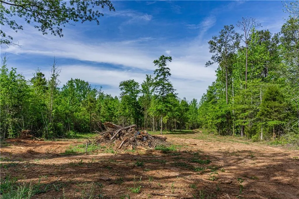 Additional image 14 of Lee Road 293, Smiths Station, AL 36877