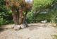 Additional image 12 of Maidenhead Road, Stratford-Upon-Avon