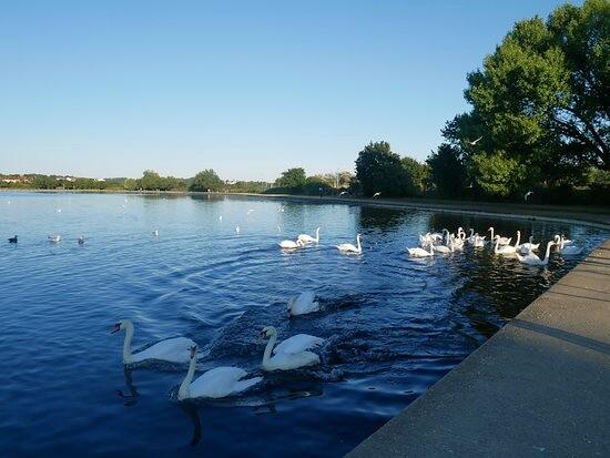 Additional image 10 of Twemlow Avenue, Poole Park, Poole, BH14