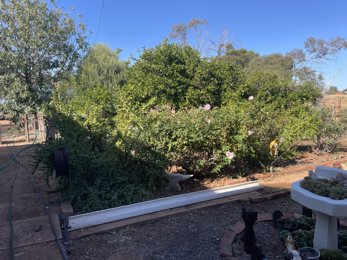 Additional image 21 of 72 Scenic Drive, Napperby SA 5540