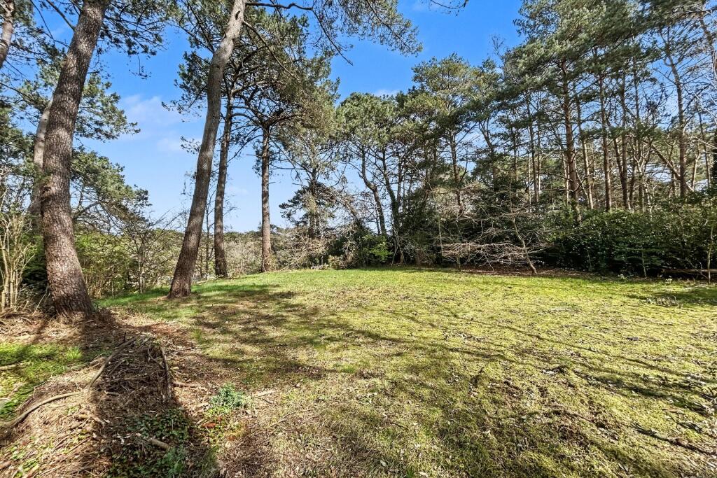 Branksome Park photo 3