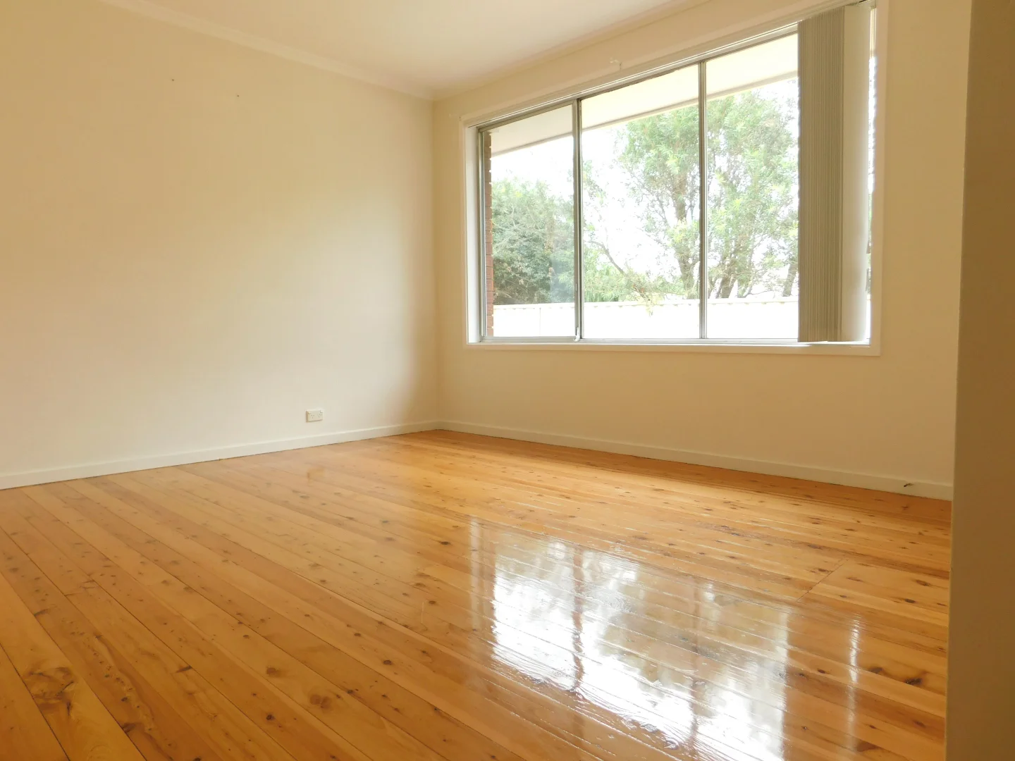 Additional image 5 of 3 Broughton Street, Wilton NSW 2571