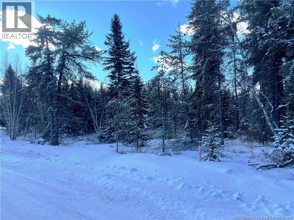 Lot 74-5 Honey Street
