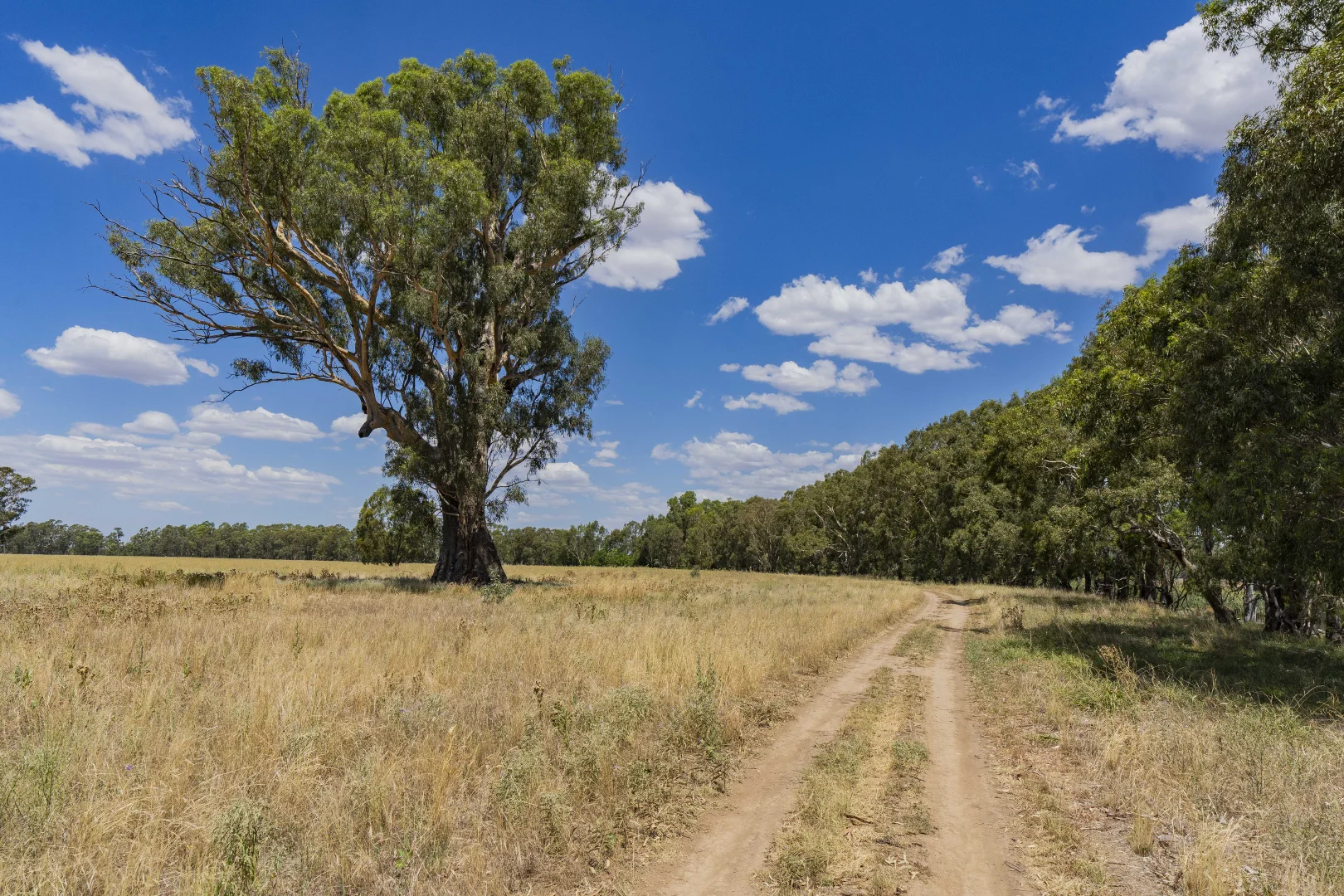 Additional image 6 of Lot 2 Newell Highway, Grong Grong NSW 2652