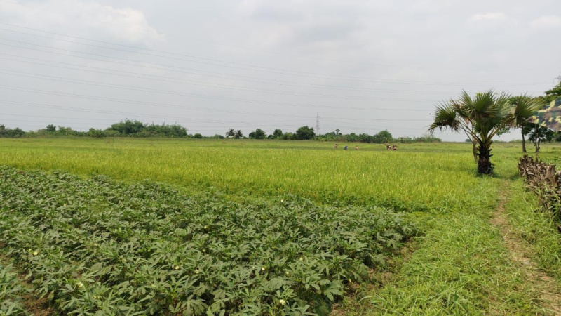 Additional image 2 of Barasat, Kolkata