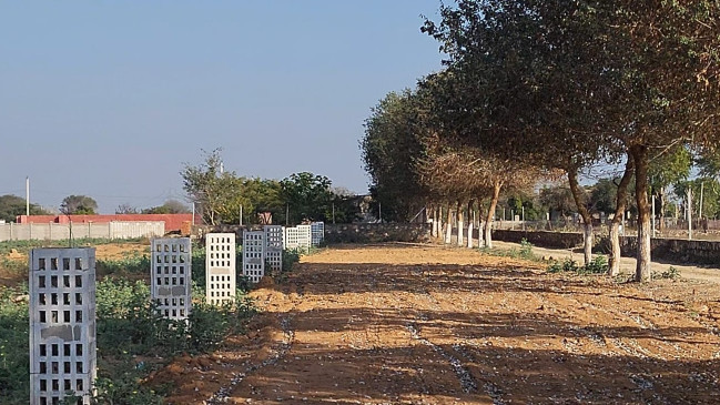 Diggi Road, Jaipur photo 3