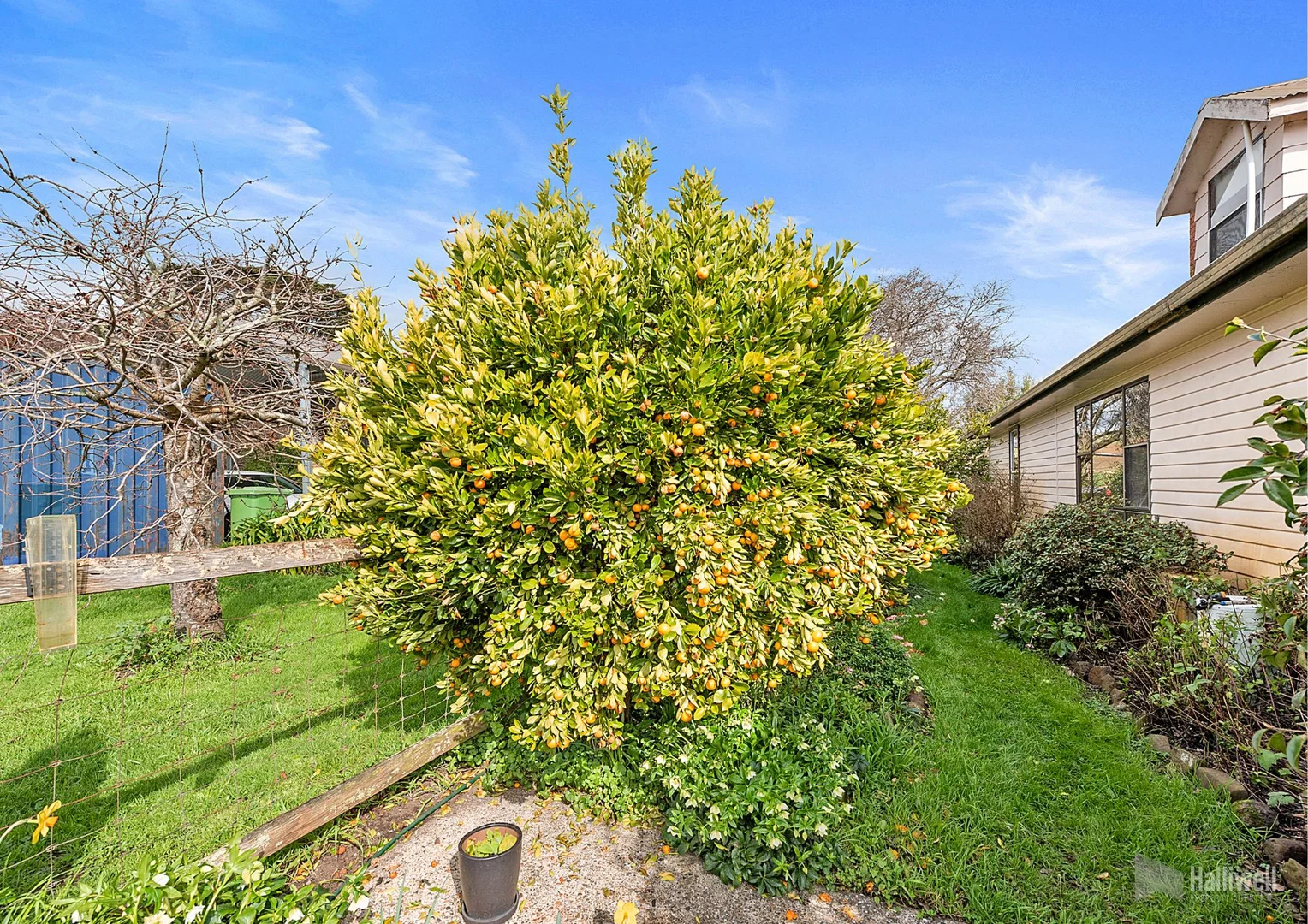 Additional image 28 of 439 Oppenheims Road, Moriarty TAS 7307