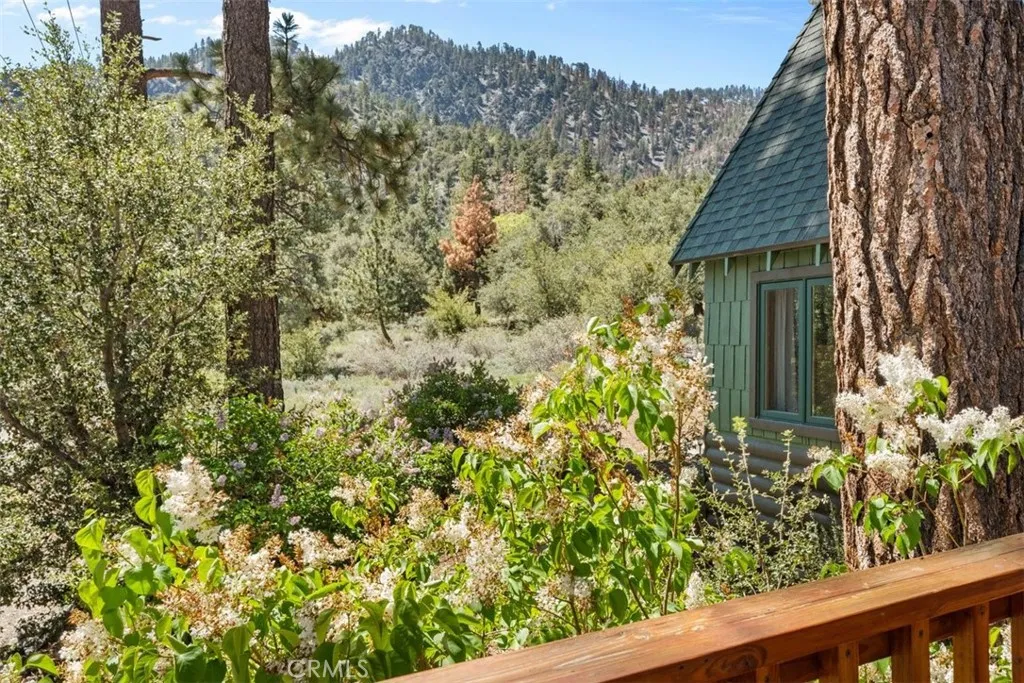 Additional image 59 of 5632 Oak Street, Wrightwood, CA 92397
