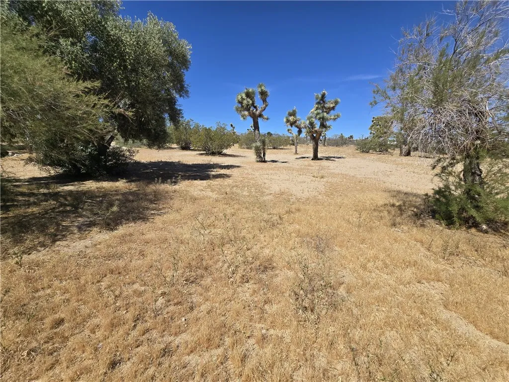 Additional image 16 of 3390 El Dorado Ave, Yucca Valley, CA 92284
