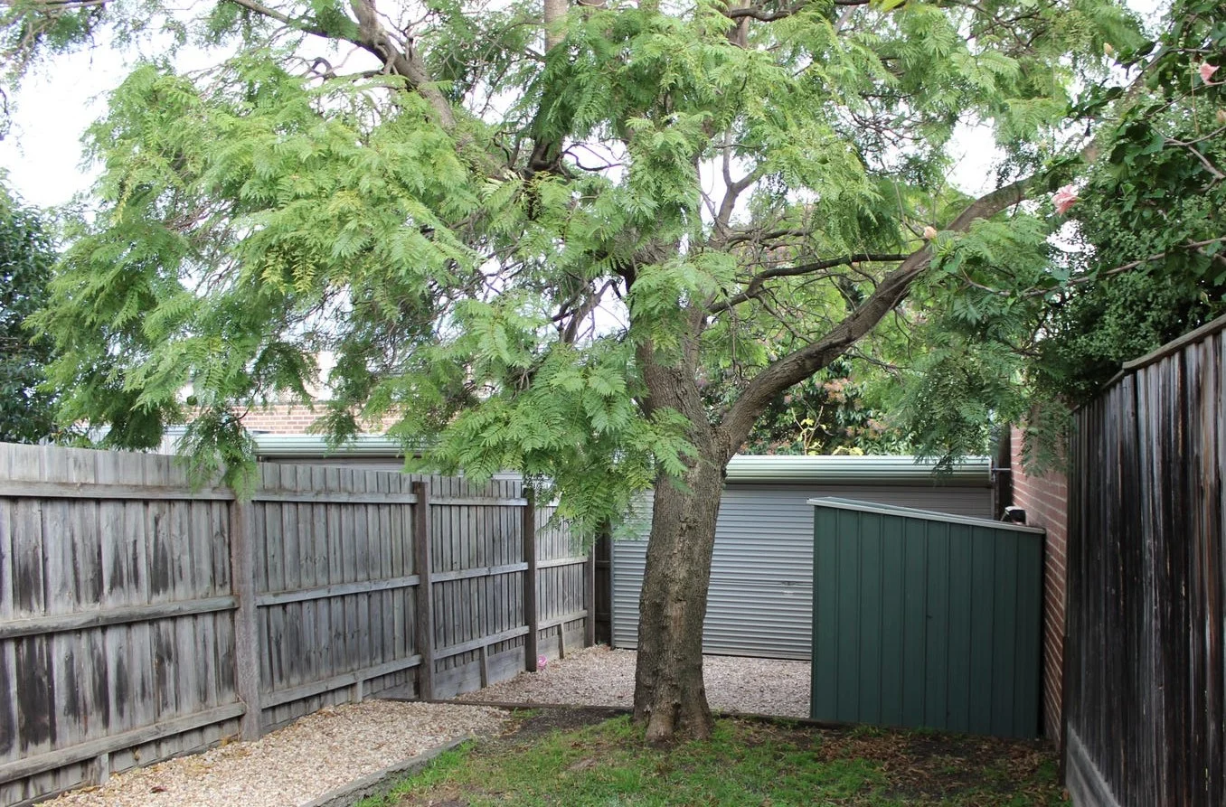 Additional image 9 of 57 North St, Ascot Vale VIC 3032