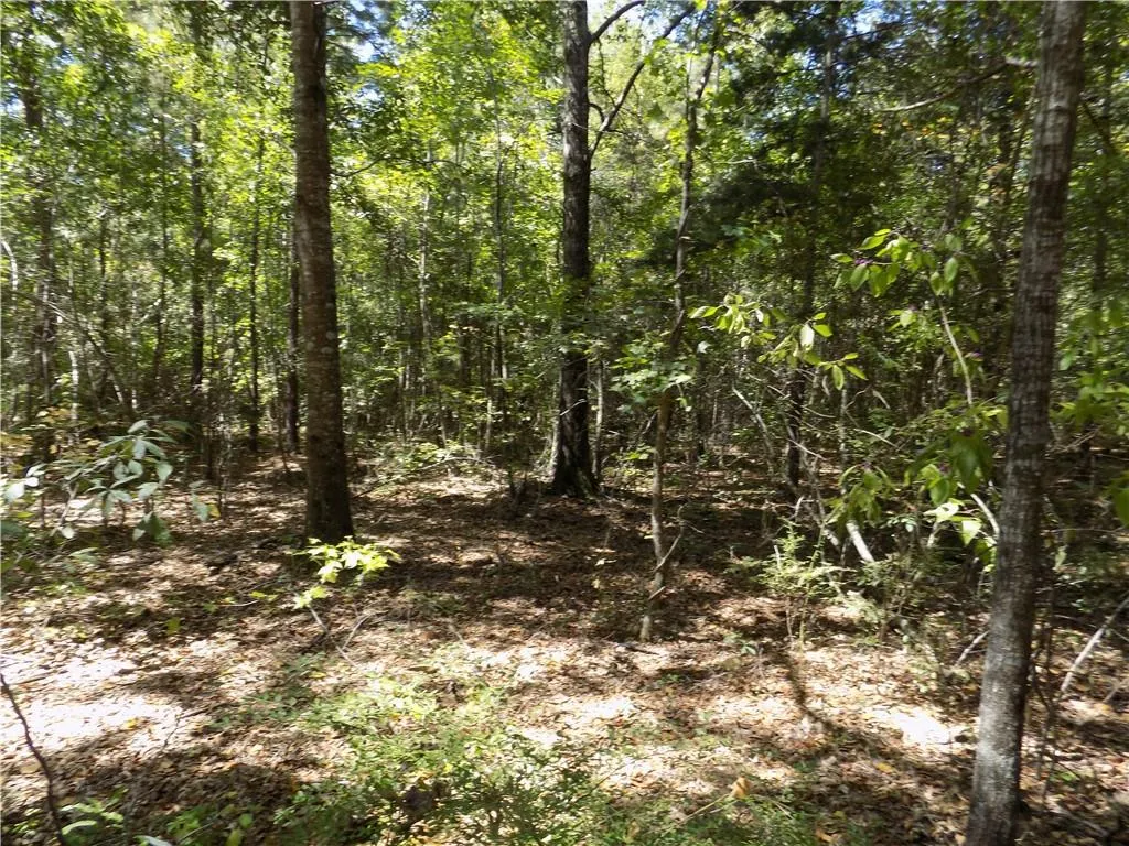 Additional image 3 of Lot 3 Macon County Road 24, Auburn, AL 36830