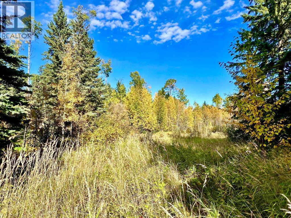 4 Forest Close