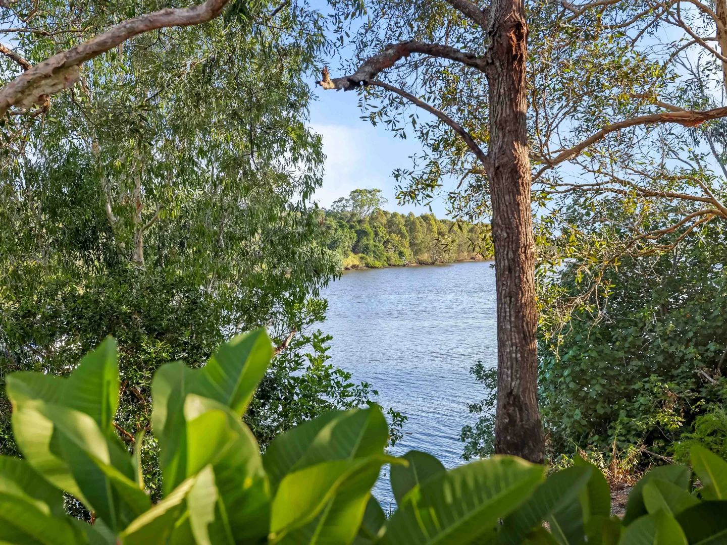 Additional image 18 of 11/4 Koala Town Road, Upper Coomera QLD 4209