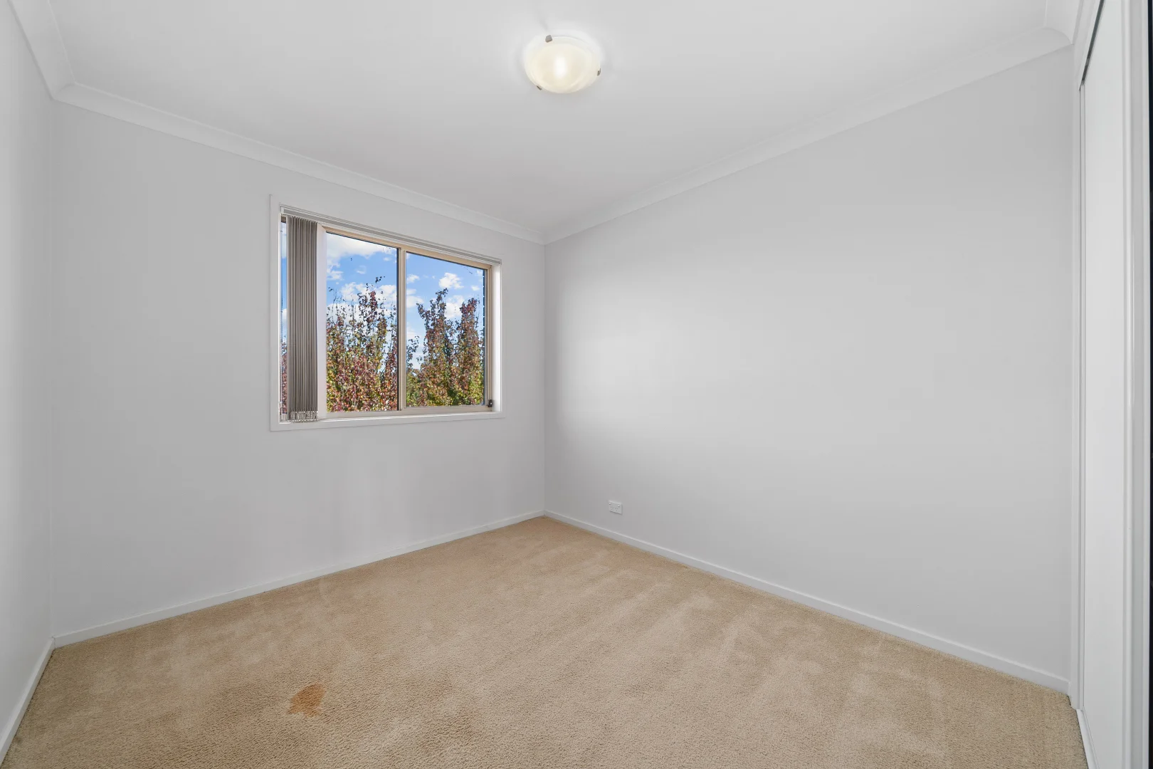 Additional image 8 of 118 Oodgeroo Avenue, Franklin ACT 2913