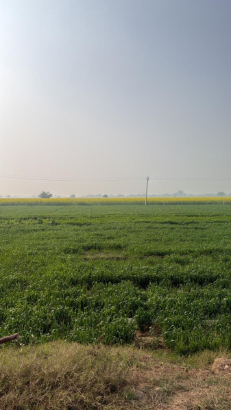 Additional image 3 of Sohna, Gurgaon